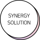 Synergy Solution